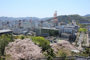 南国市堀ノ内の土地情報と生活情報