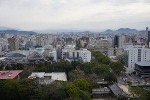 香美市土佐山田町樫谷の最新土地相場情報とタウン情報