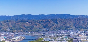 高知市横浜新町二丁目の土地情報と暮らし